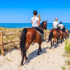 Horseback Riding - Groups of 4 or more people