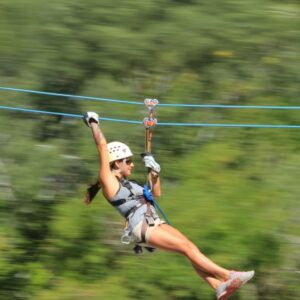 Ziplines -  Groups of 4 or more people